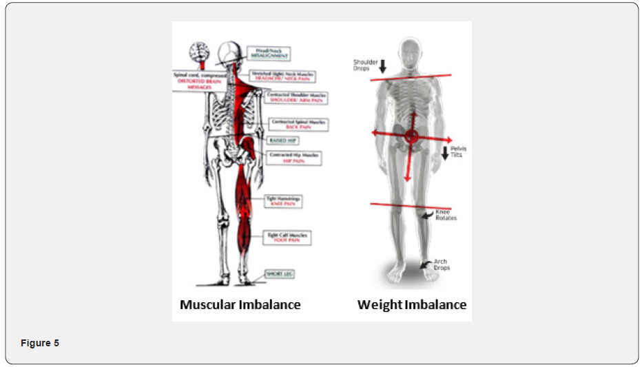 Click here to view Large Figure 5 Material Science