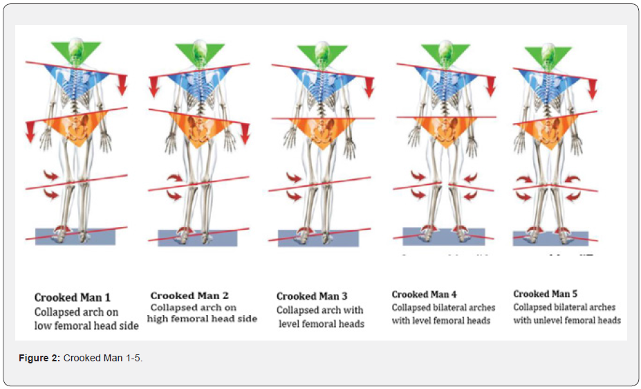 Click here to view Large Figure 2 Material Science