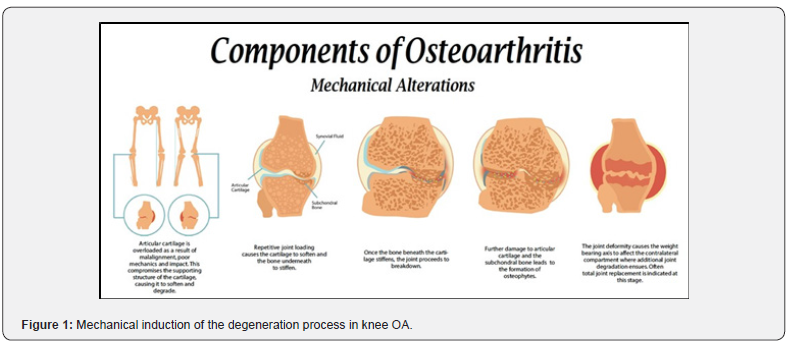 Click here to view Large Figure 1