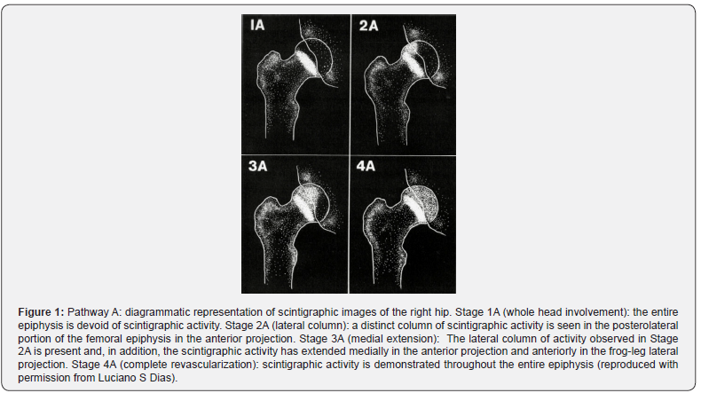 Click here to view Large Figure 1