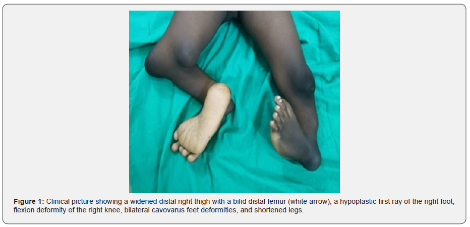 Click here to view Large Figure