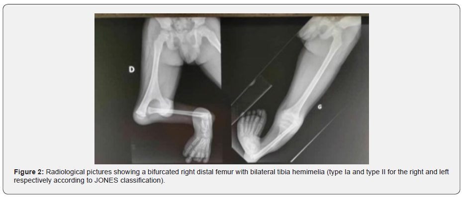 Click here to view Large Figure