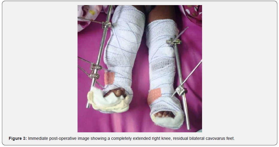 Click here to view Large Figure