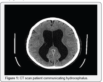 Click here to view Large Figure 1