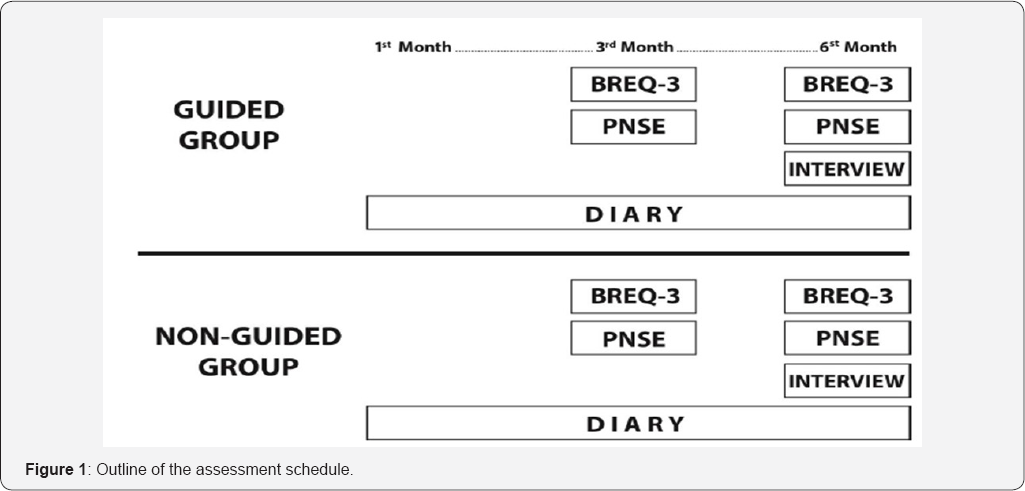 Click here to view Large Figure 1