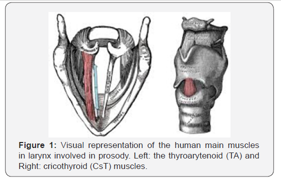 Click here to view Large Figure 1