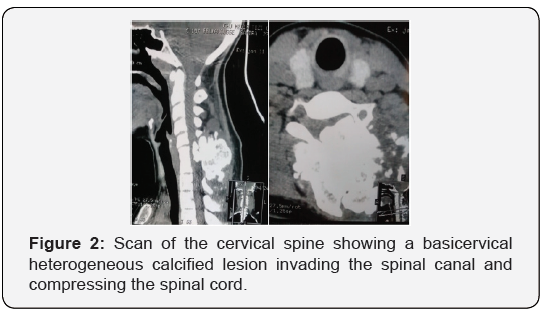 Click here to view Large Figure 2