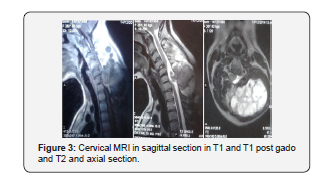 Click here to view Large Figure 3