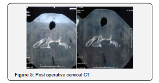 Click here to view Large Figure 5