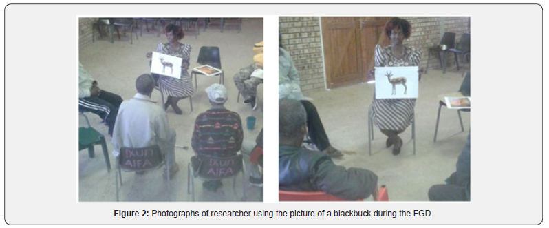 Click here to view Large Figure 2