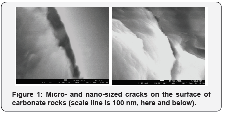 Click here to view Large Table 1