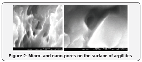 Click here to view Large Table 1