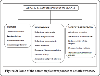 Click here to view Large Figure 2