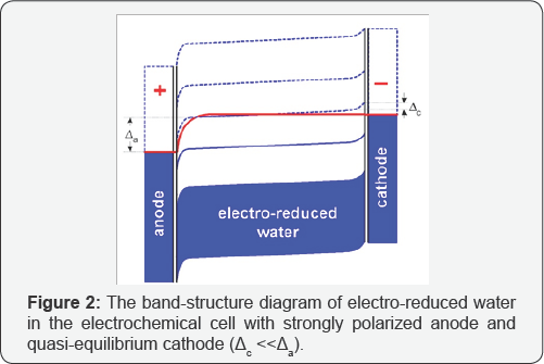 Click here to view Large Figure 2