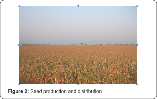 Click here to view Large Figure 2