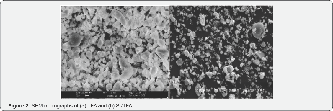 Click here to view Large Figure 1