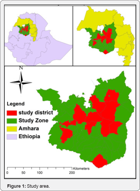 Click here to view Large Figure 1