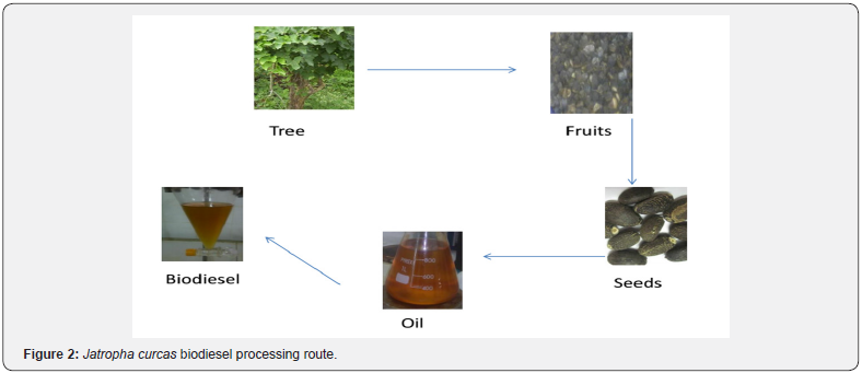 Click here to view Large Figure 2