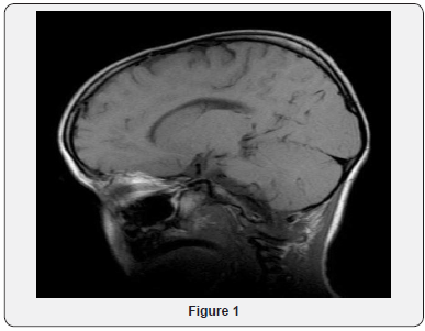 Click here to view Large Figure 1