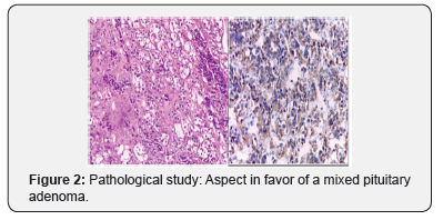 Click here to view Large Figure 2 Theranostics of Brain, Spine & Neural Disorders