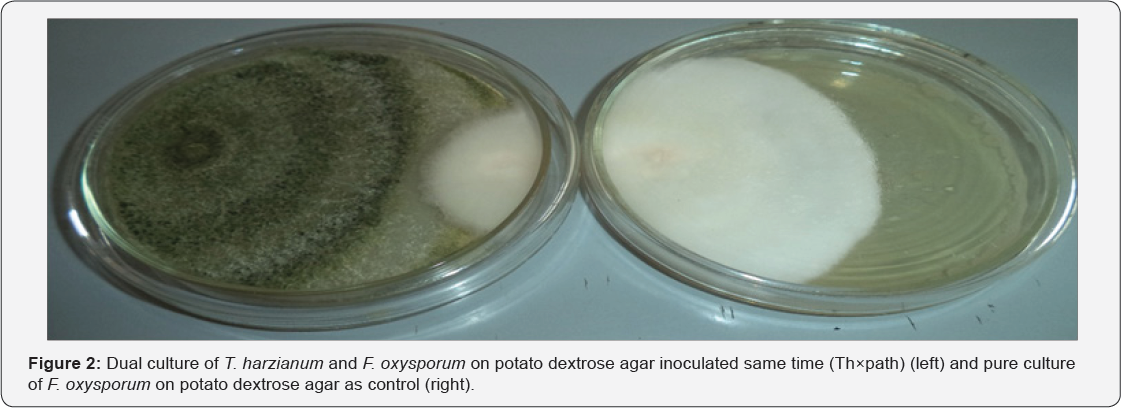 Click here to view Large Figure 2