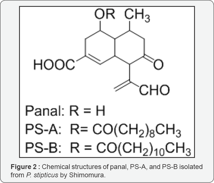 Click here to view Large Figure 2