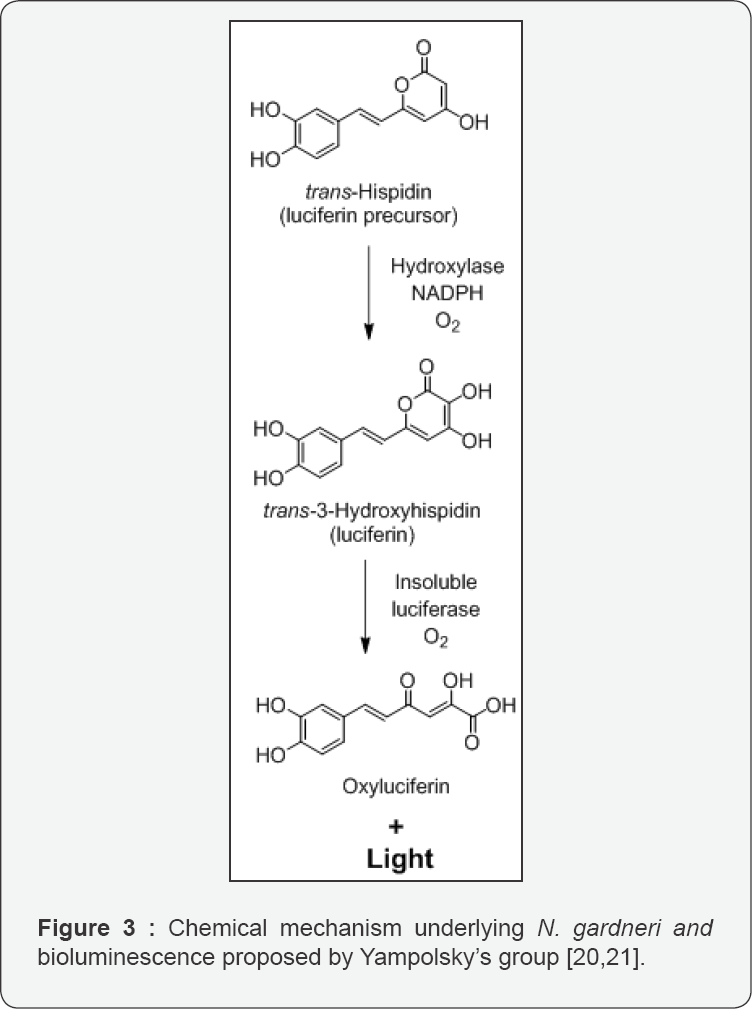 Click here to view Large Figure 3