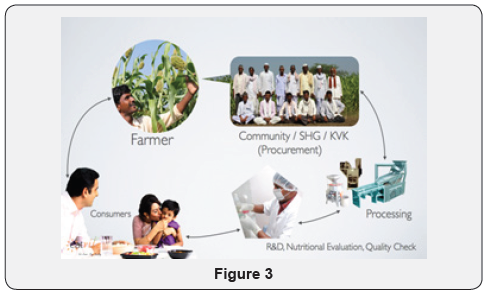 Click here to view Large Figure 3