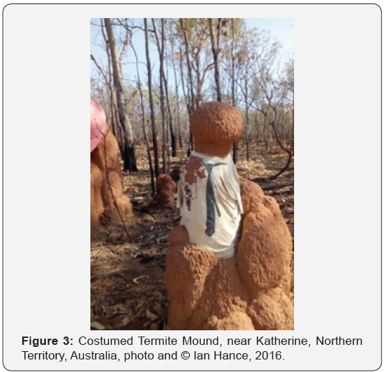 Click here to view Large Figure 3