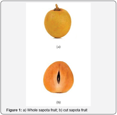 Click here to view Large Figure 1