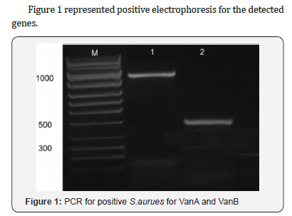 Click here to view Large Figure 1 Trends in Technical & Scientific Research