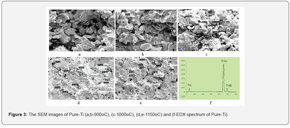 Click here to view Large Figure 3
