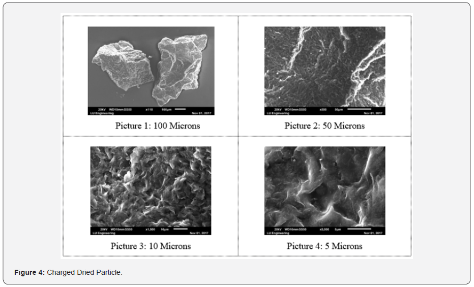 Click here to view Large Figure 4
