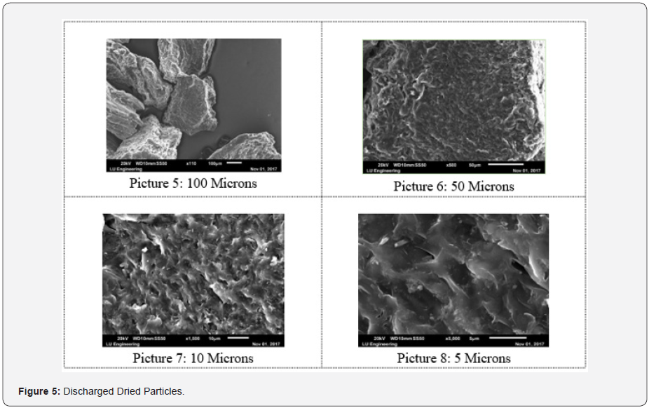 Click here to view Large Figure 5
